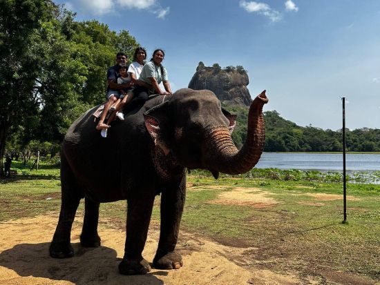 【1泊2日 or 2泊3日】スリランカ宿泊ツアー　世界遺産シーギリヤ＆ダンブッラ＆ミンネリヤ国立公園＆象乗り ＜貸切／日本語ガイド＞