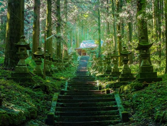 福岡発日帰りバスツアー　阿蘇山・高千穂峡・上色見熊野座神社　九州の自然と神秘を巡る旅＜博多発着＞