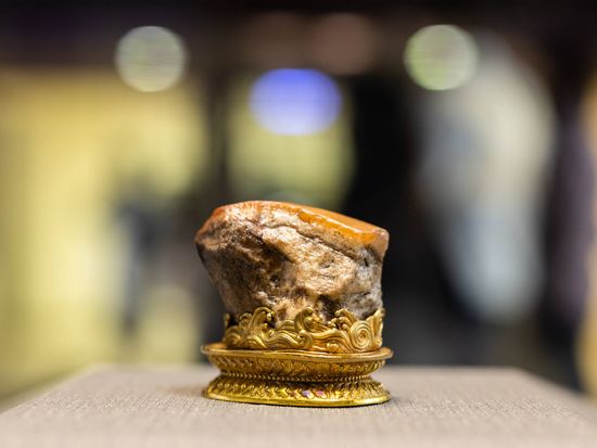 AdobeStock_554162126