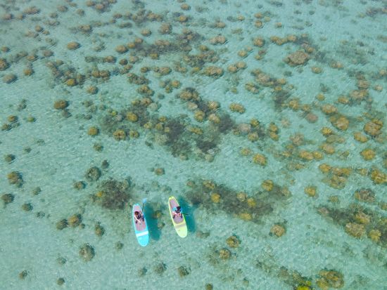 奄美大島〈お得なセットプラン〉【SUP+ナイトツアー】透明度抜群の奄美ブルーを大満喫！ドローン・ゴープロ撮影無料！お一人様も可能by 奄美シーランド