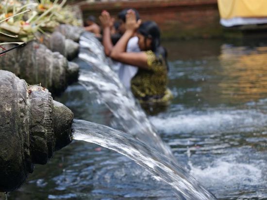 【バロンダンス + ティルタウンプル+テガラランライステラス】善悪が織りなす終わりなき物語、聖水の寺院、美しき棚田«貸切/日本語ガイド/ホテル送迎/アレンジ自由