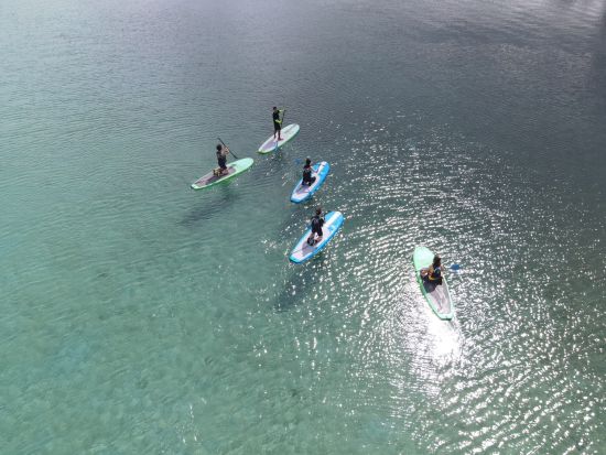 奄美大島〈お得なセットプラン〉【SUP+シュノーケル+マングローブカヌー】美しい白浜が広がる用安海岸での体験！お一人様も可能 by 奄美シーランド