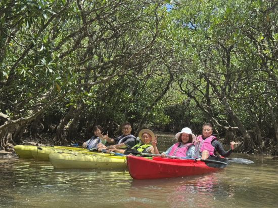 奄美大島〈お得なセットプラン〉【シュノーケル+マングローブカヌー】美しい白浜が広がる奄美大島！ドローン・ゴープロ撮影無料！お一人様も可能 by 奄美シーランド