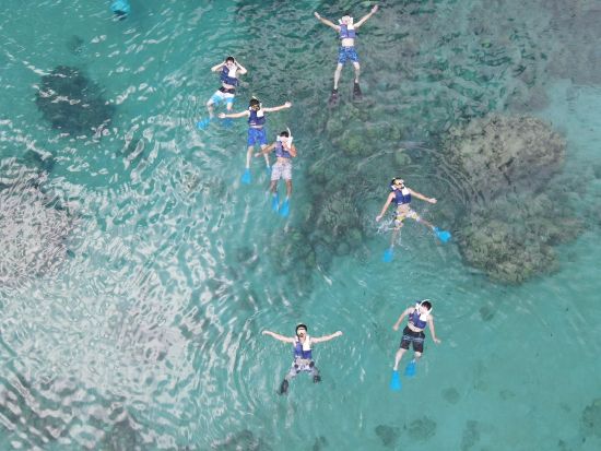 奄美大島〈お得なセットプラン〉【シュノーケル+ナイトツアー】世界遺産認定の島！ドローン・ゴープロ撮影無料！お一人様も可能by 奄美シーランド