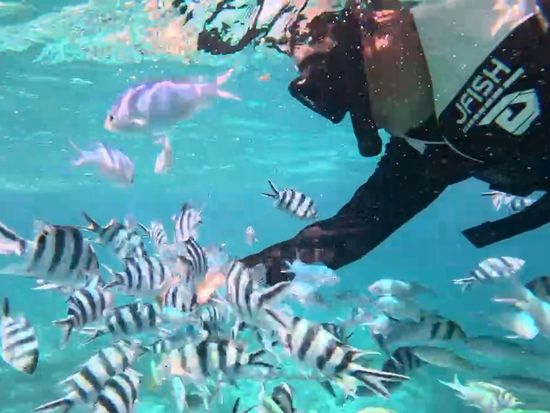 signed-url-redirect (2)