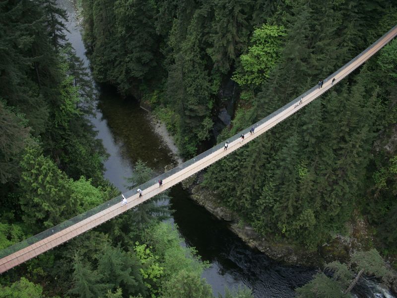 Capilano Suspension Bridge
