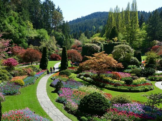 Butchart Gardens (1)