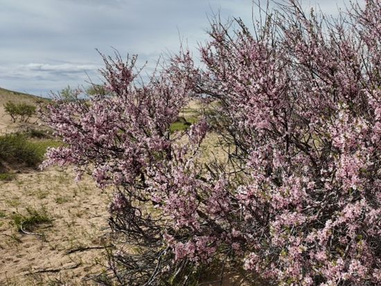 DJI_20250520160638_0011_D