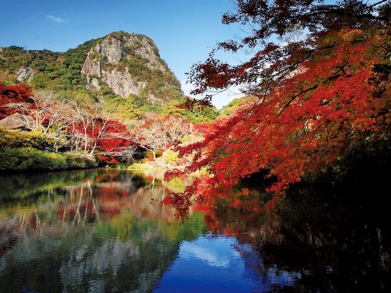 16SRF_6e50a89c-7f4b-445e-858c-8a