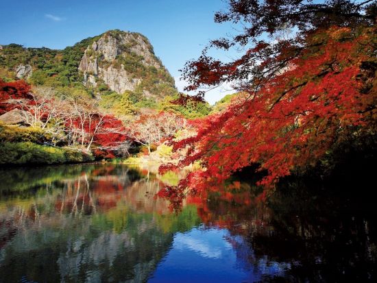 【博多発着】日帰り紅葉ツアー 九年庵・御船山楽園・佐賀牛焼きしゃぶ付き by 阪急交通社