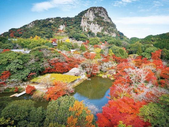 16SRF_eabd5a42-afce-4039-86dc-c3