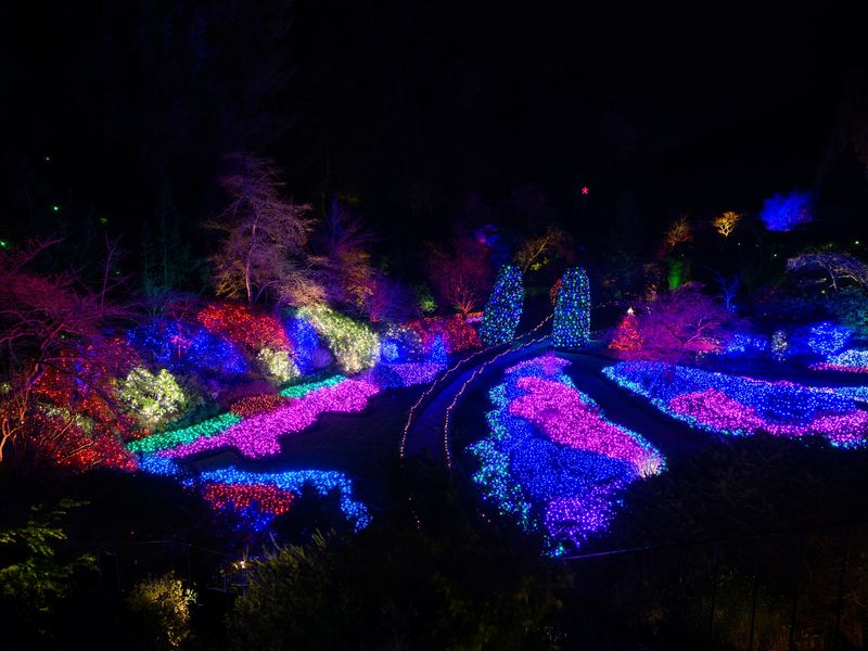 Christmas Lights (3)