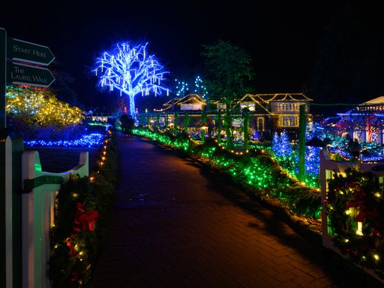 Christmas Lights (1)