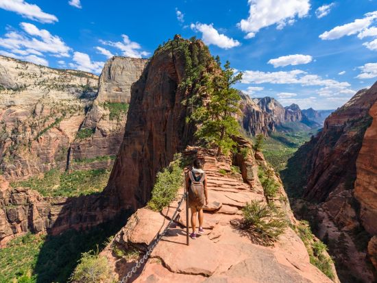 ラスベガス⇔ザイオン国立公園　片道シャトルサービス＜混載／英語＞