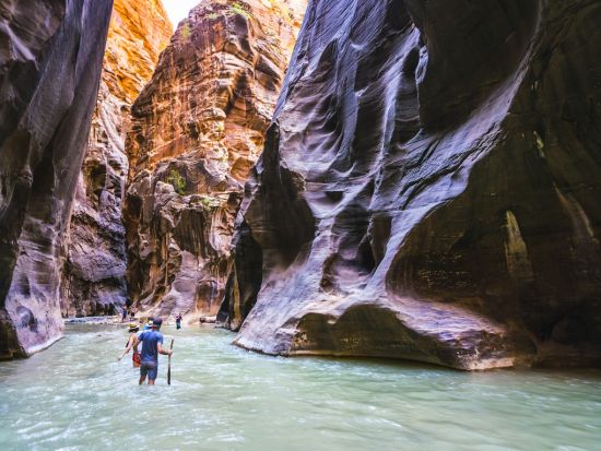 ラスベガス⇔ザイオン国立公園　片道シャトルサービス＜混載／英語＞