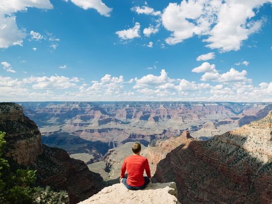 USA_Arizona_Grand Canyon_South Rim_shutterstock_316296605