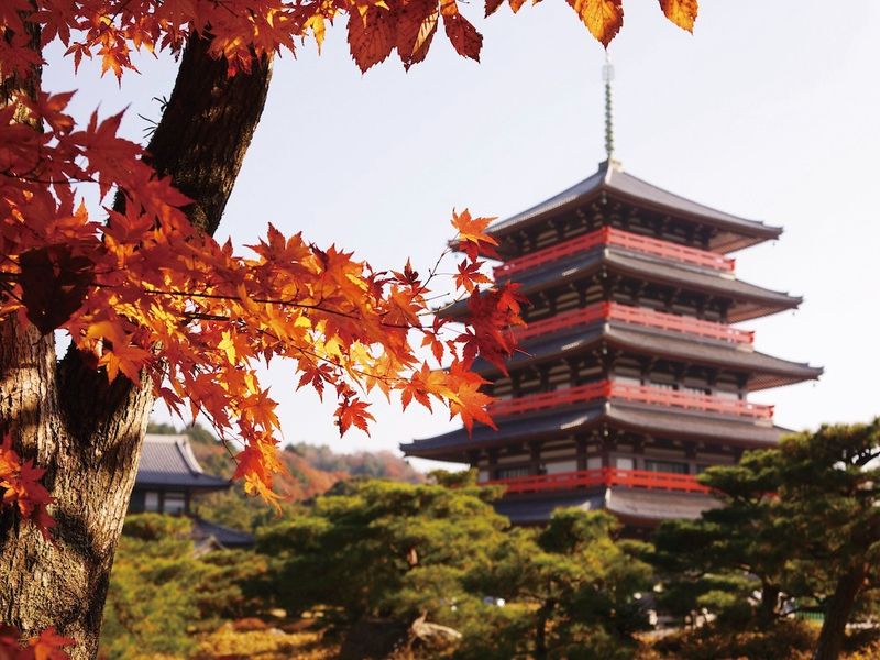 0YV99_c5b48be2-da84-4326-bc29-a1