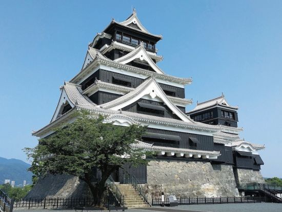 博多発着バスツアー 菊池渓谷＆熊本城で紅葉満喫！昼食＆商品券付き日帰り旅 by 阪急交通社