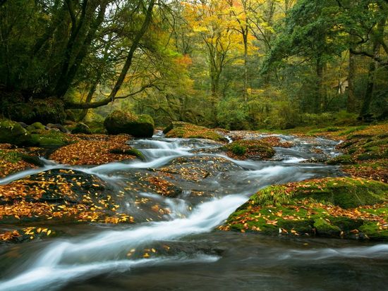 0YV99_38877d31-fdc9-49f8-ae6d-97