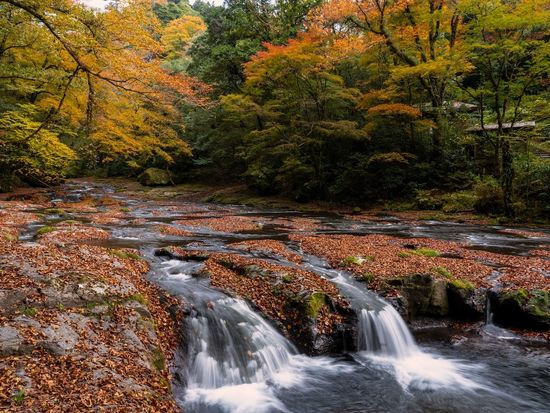 0YV99_da7bbe5a-768d-4ea8-8bf5-44