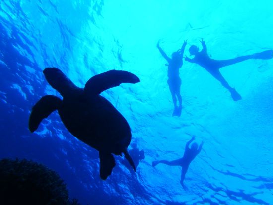 慶良間1日ボート体験ダイビング＆シュノーケリング 世界が恋する透明な海へLet’sGo！初心者大歓迎◎＜1日／船内シャワーあり／本島中部 北谷町＞