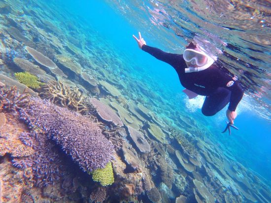 慶良間チービシボートシュノーケリング 色とりどりの熱帯魚たちと一緒に泳ごう！半日プランで気軽に参加OK♪＜4時間／本島中部 北谷町＞