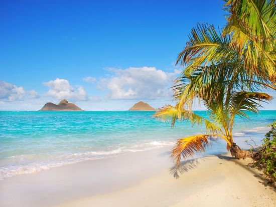 Hawaii_Oahu_shutterstock_1397524106