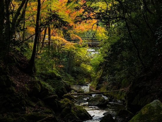 1W21S_4f8b15f9-d8f1-46b4-9346-30