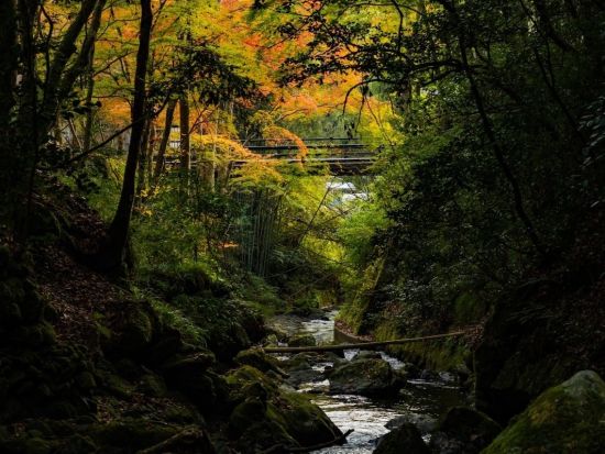 鞍馬の秘湯くらま温泉　四季折々の自然と楽しむ極上の露天風呂体験＜京都＞