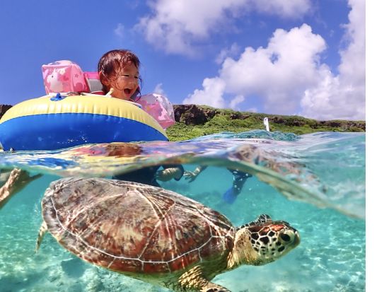 ウミガメシュノーケリングツアー 超高確率でウミガメに遭遇！1グループで貸切できるプランあり＜約90分／宮古島＞