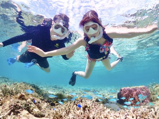 ウミガメシュノーケリングツアー 超高確率でウミガメに遭遇！1グループで貸切できるプランあり＜約90分／宮古島＞