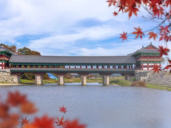 釜山発！慶州1日観光ツアー　世界遺産仏国寺＋大陵苑＋東宮と月池＋月精橋＋慶州校村マウル＜1名参加OK／選べる出発地／日本語ガイド＞