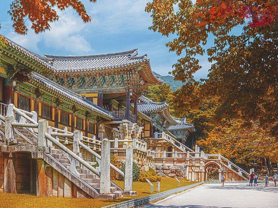 釜山発！慶州1日観光ツアー　世界遺産仏国寺＋大陵苑＋東宮と月池＋月精橋＋慶州校村マウル＜1名参加OK／選べる出発地／日本語ガイド＞