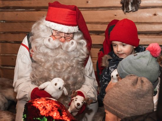 ラップランドで遊ぼう！サンタクロース村＆トナカイ牧場＆スノーモービル1日ツアー＜11月～3月／昼食付／英語／ロヴァニエミ発＞＊申込と同時に即予約確定