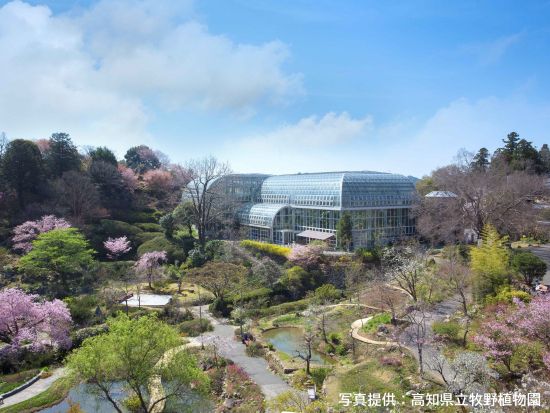 やなせたかし記念館＆牧野植物園セット券＜一般チケット／親子チケット＞（事前にセット券への引換必要）