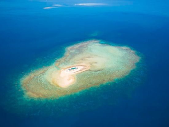サヴァラ島日帰りクルーズ　美しいプライベートアイランドで自由時間を満喫！シュノーケリングやカヤックなども楽しめる♪＜送迎付／昼食付／デナラウ港発＞