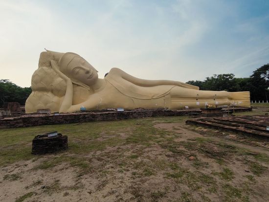 ワットロカヤスター