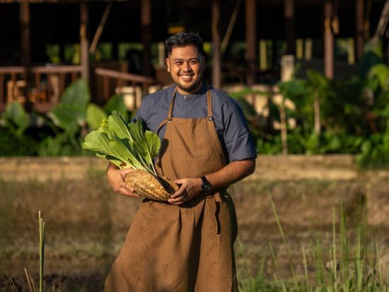 バリ島ファーム・トゥ・テーブル体験 自然の恵みを味わう！サステナブル農園見学＋3コースランチ＆ウブド散策付き＜バリ発／日本語ガイド／ホテル送迎付き＞by JTB