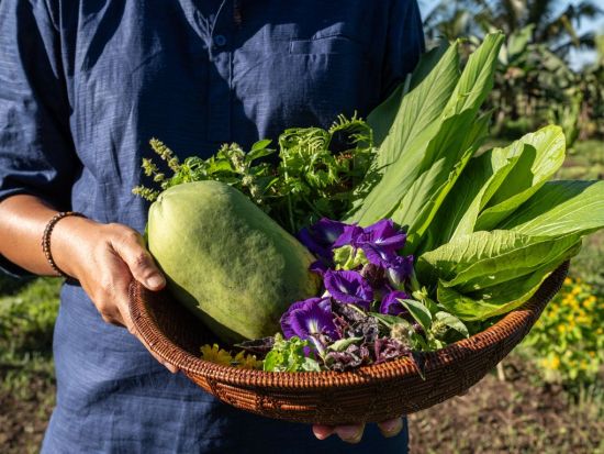 バリ島ファーム・トゥ・テーブル体験 自然の恵みを味わう！サステナブル農園見学＋3コースランチ＆ウブド散策付き＜バリ発／日本語ガイド／ホテル送迎付き＞by JTB