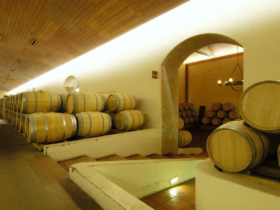 Chile_Santiago_Brand of Concha y Toro vineyard_shutterstock_110835386