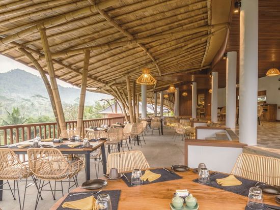 ワパディウメ (3)