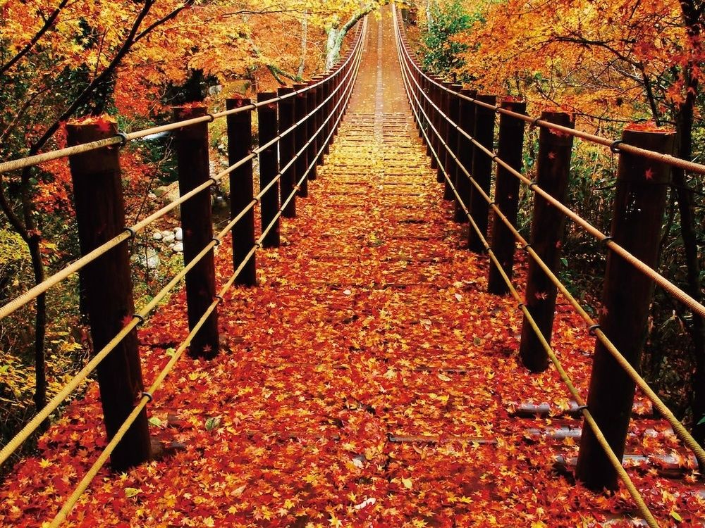 茨城紅葉日帰りバスツアー 袋田の滝＆花貫渓谷・竜神峡 三大絶景めぐり＜東京・上野・新宿発＞by 阪急交通社 | 茨城の観光&遊び・体験 ...