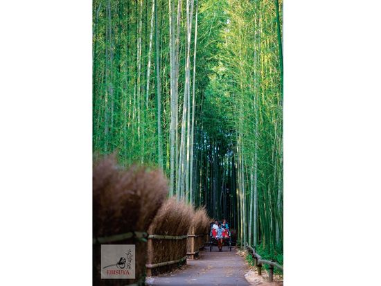 1MNYD_f873f854-61bc-438e-8b86-57