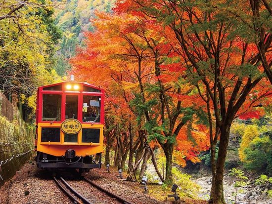 1MNYD_162dbd80-ce21-41ca-9073-77