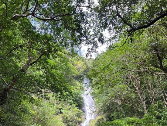 観光名所【 南コース180分】奄美大島北部の観光名所をめぐる！！ドローン・ゴープロ撮影無料！お一人様も可能！by 奄美シーランド