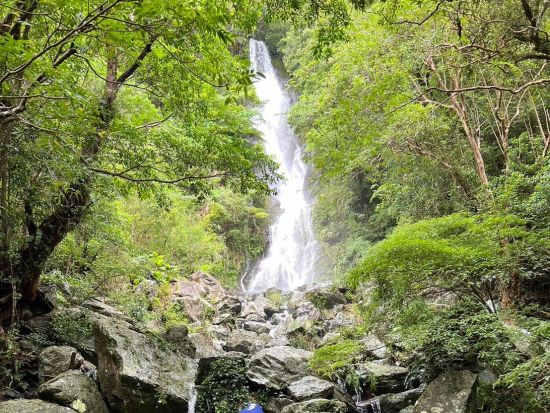 観光名所【 南コース180分】奄美大島北部の観光名所をめぐる！！ドローン・ゴープロ撮影無料！お一人様も可能！by 奄美シーランド