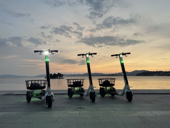 松江城の裏庭を探訪！最新モビリティ「ストリーモ」で楽しむ静かな歴史散歩と天守登閣プラン＜2時間＞