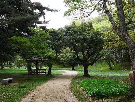 松江城プラン⑥