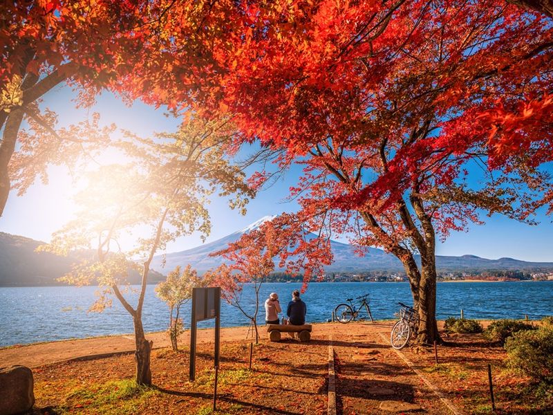 Japan_Yamanashi_Mt Fuji_Kawaguchiko_Autumn_Fall_shutterstock_1283848552
