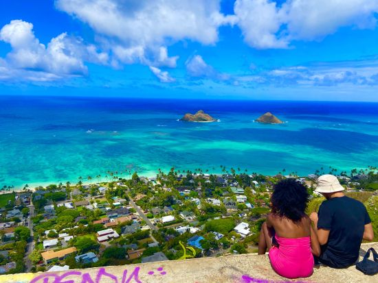 【アレンジ自由自在/13名様まで乗車OK！/日本人ガイド】オアフ島観光・貸切チャーター